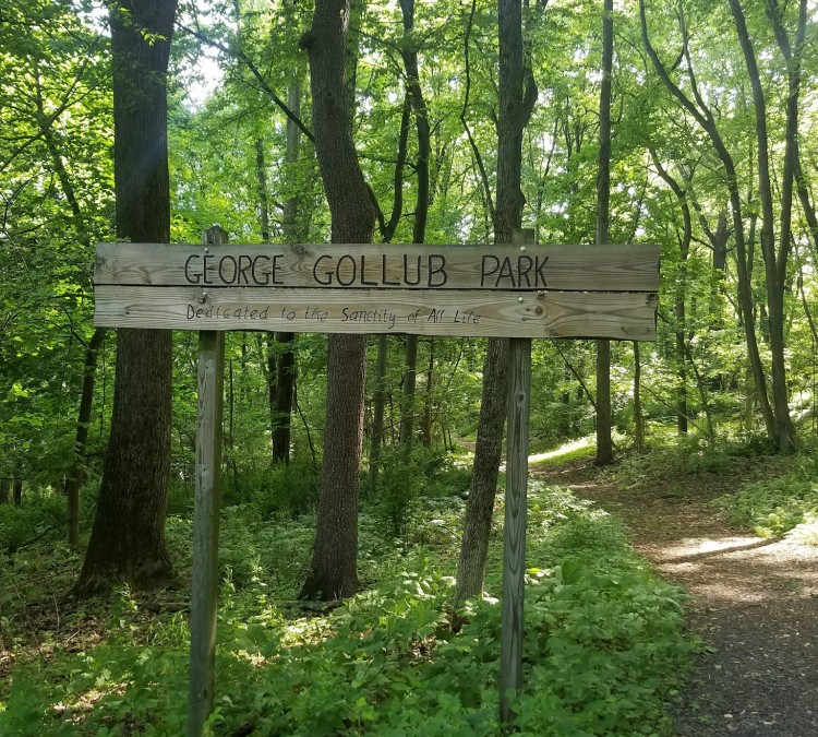 Gollub Park (Easton,&nbspPA)